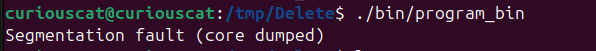 Segmentation Fault